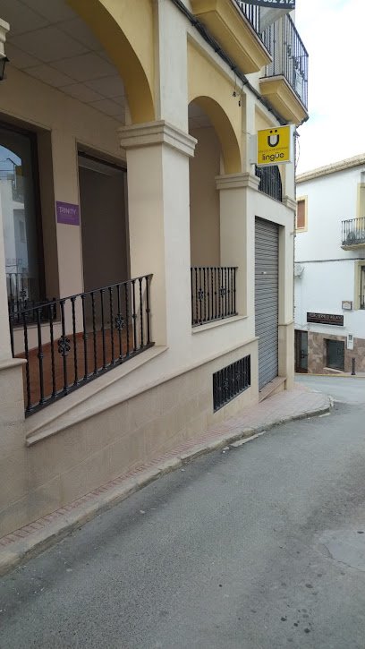 Escuela de Idiomas Lingüe