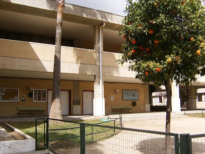 TECS Jerez - Academia de Inglés