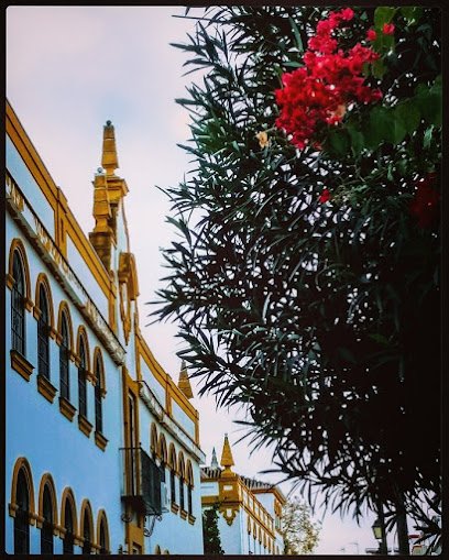 The British School Aljarafe